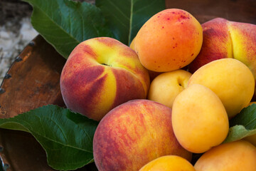 Ripe peaches and apricots on a copper plate and the textural natural wooden background