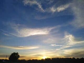 sunset over the field