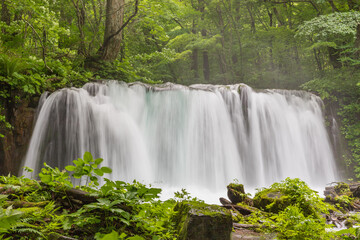 Oirase mountain stream in early summer