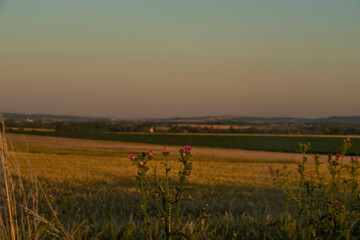 In middle of dry field in sunset color evening near Melcany village with moon