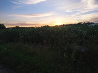 sunset over the river