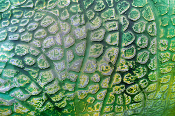 Close up of Dinosaurs skin