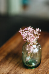 Natural flower in the glass vase by the window with natural sunlight