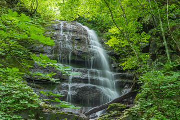 Oirase mountain stream in early summer