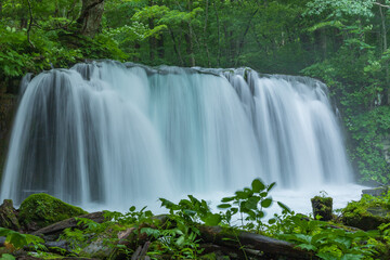 Oirase mountain stream in early summer