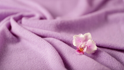 Obraz na płótnie Canvas Lilac pink luxury natural cashmere and orchids flower.