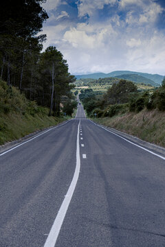 Carretera larga en medio de un bosque
