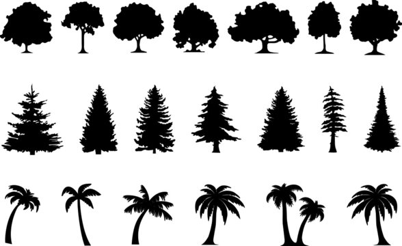 TREE TREES SET Vector Silhouette Outline