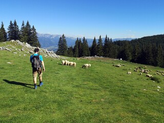Hiker on the trail in the mountains 