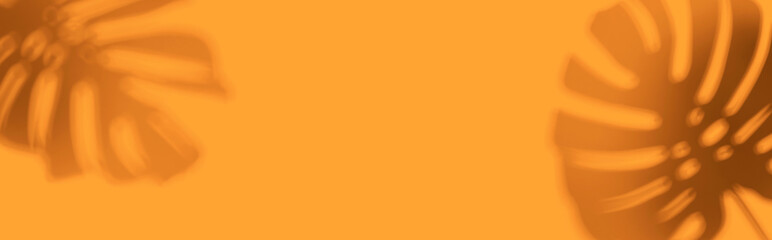 Shadow background of tropical monstera leaves - flat lay © Tierney