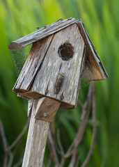 Rustic old worn out birdhouse