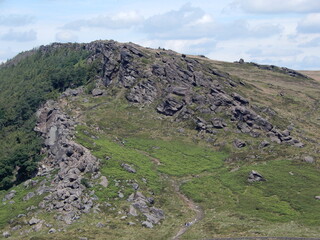 Obraz premium Roaches