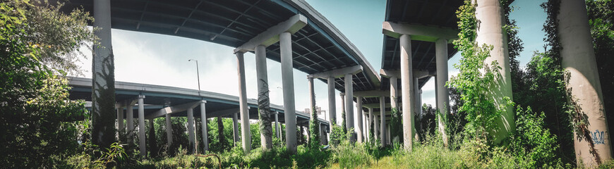 Obraz premium Urban Jungle