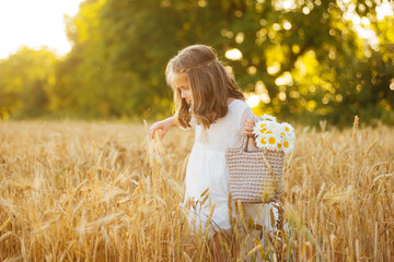 Cute girl is walking through wheat with a basket of flowers at sunset. © Vulp