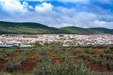 View of little spanish village and vegetation around
