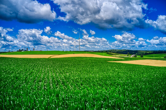 Iowa Corn