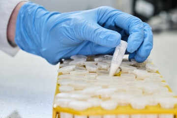 Closeup woman hands in rubber gloves holding small tube with a white powder next to rack....