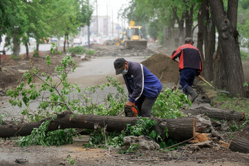 Utility workers saw, clean from the street and recycle the trees felled by the wind. The consequences of a storm or hurricane. Sawing logs © slexp880