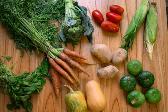 ORGANIC VEGETABLES ON THE TABLE