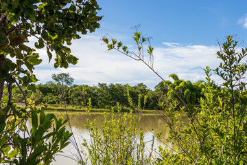 Lago cercado por vegetação e céu azul.