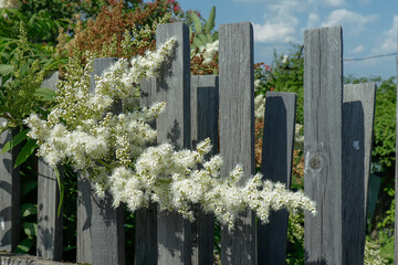 Naklejka premium white picket fence