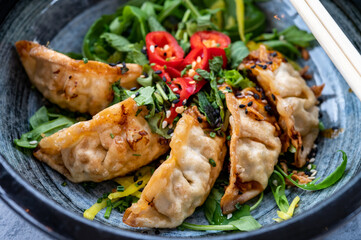 Tasty asian food, homemade deep fried chicken gyoza dumplings