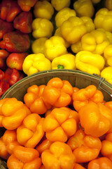 Multicolored capsicum on display in market