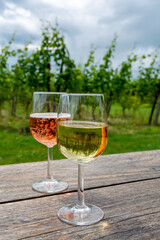 Tasting of Dutch rose and dry white wine on vineyard in summer