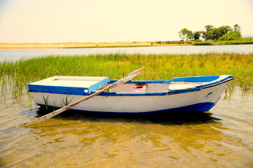 a blue and white boat in the lake
