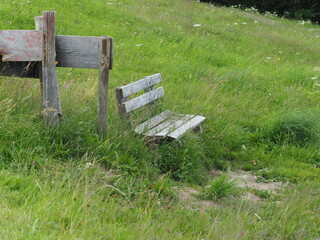 Fototapeta premium bench at a meadow for recreation