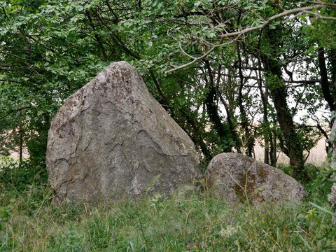 Großsteingrab Bilder Durchsuchen 7,197 Archivfotos,