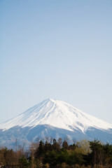 Fototapeta premium Mt. Fuji Seen From Kawaguchi Lake