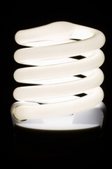 Fluorescent light bulb isolated on black background. Economical home lighting. Energy saving...