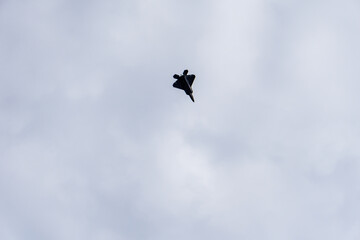 US airforce F 22 Stealth fighter plane in action and display its strength and technology.