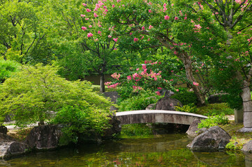 Fototapeta na wymiar Japanese garden