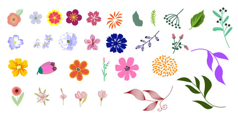 Floral elements. Big vector set leaves and flowers for design  ideal. Different decorative elements. Vector