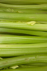 Close-up of celery sticks