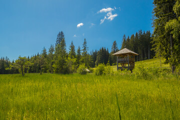 Panoramic view of the lookout tower at Durnberger Moor in Styria, Austria, a wildlife sanctuary on the wetlands.