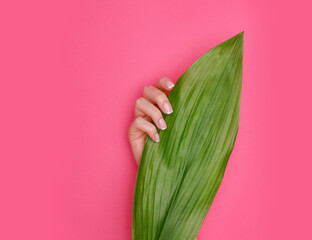 Beautiful female hands with stylish nail manicure gel polish on pink background. Woman holding ...