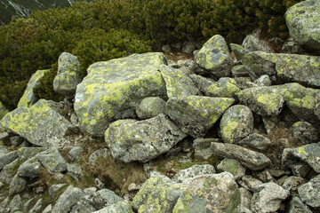 Autumn travel mountain nature textures and assets for matte painting, rendeings, backplates and photobashing.