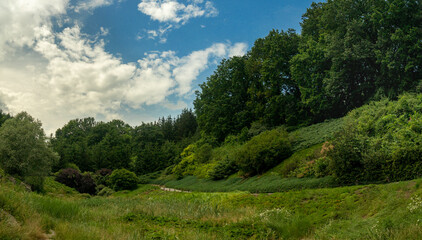 green park outdoor nature photography landscape scenic view with walking trail in peaceful summer clear weather day time