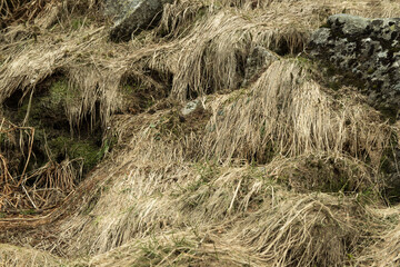 Autumn travel mountain nature textures and assets for matte painting, rendeings, backplates and photobashing.