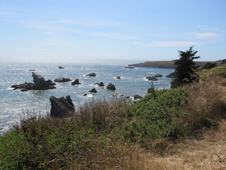 Route 1 from Bodega Bay to Hardy Creek