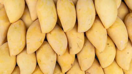 selling fresh mangoes in a market in Asia. Mango is the most popular fruit in Asia.