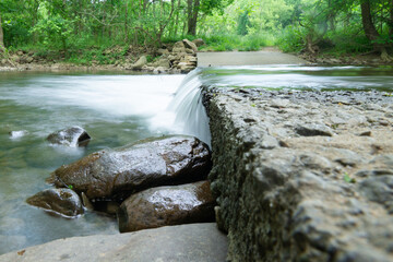 Obraz premium river in the forest
