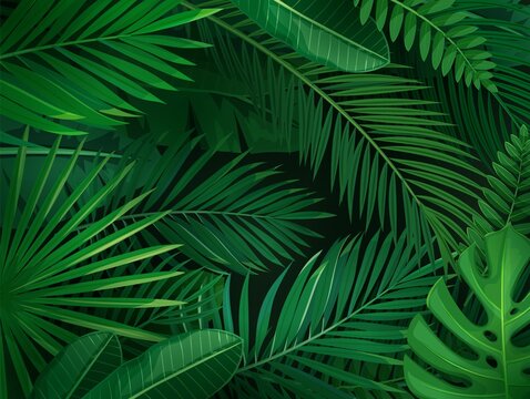 Tropical leaves horizontal background