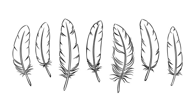 Outline feathers set