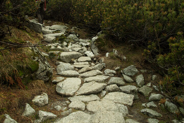 Autumn travel mountain nature textures and assets for matte painting, rendeings, backplates and photobashing.