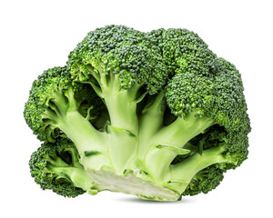 Broccoli isolated on white background