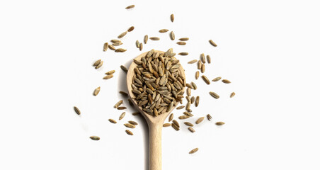 Wooden spoon with brown grains of wheat in the middle on white isolated background. Oats rye barley. Top view. Closeup. Banner for web site